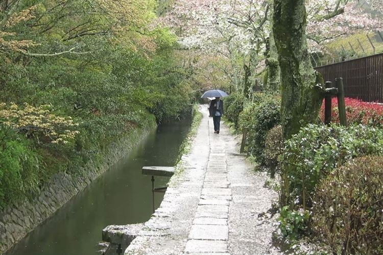Japan Kansai, Daimonji-yama and Philosopher's Path, Kyoto, Philosopher's Walk, Walkopedia